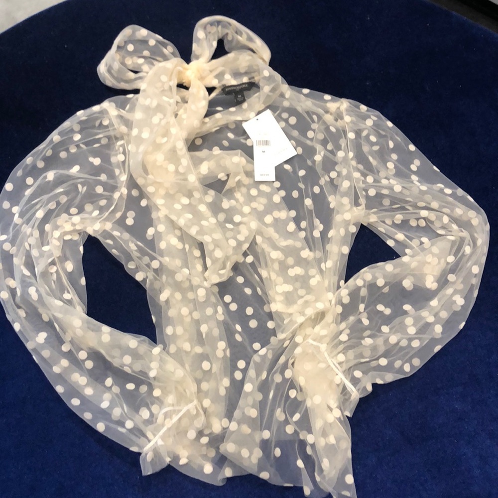 NWT Banana Republic sheer blouse Sz M